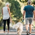 The Role of Physical Activity in Managing Arthritis Symptoms